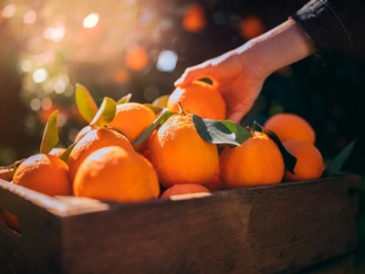 Image_400x300 (8) Image_400x300 (8)